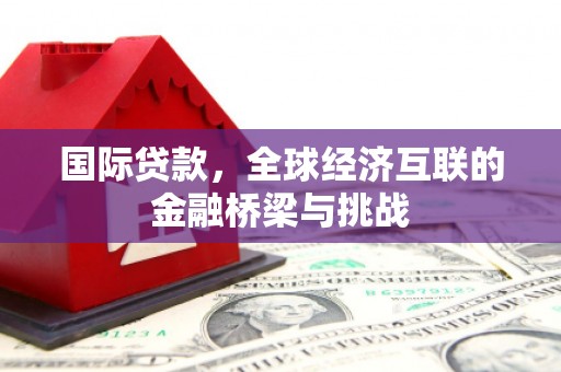 湟源国际贷款，全球经济互联的金融桥梁与挑战