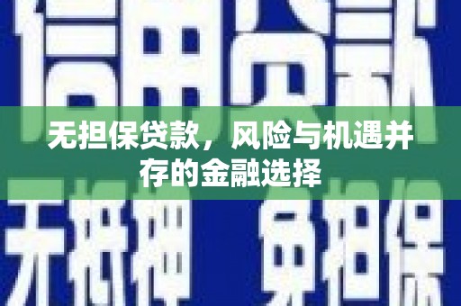 法库无担保贷款，风险与机遇并存的金融选择