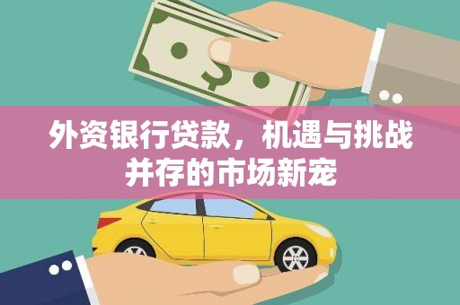 抚州外资银行贷款，机遇与挑战并存的市场新宠