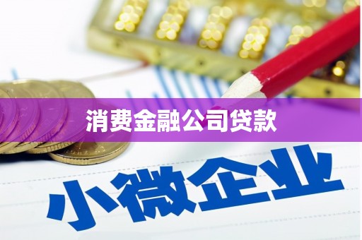 资中消费金融公司贷款