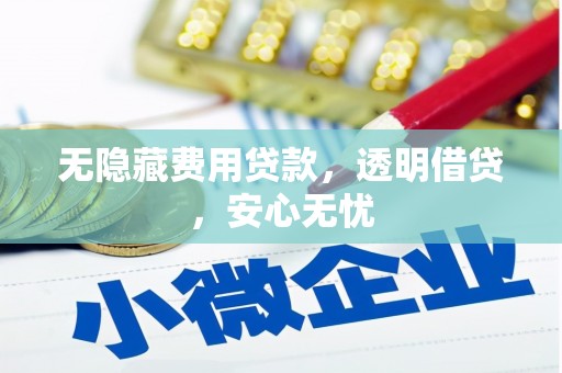 岳普湖无隐藏费用贷款，透明借贷，安心无忧
