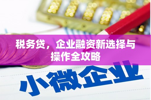 宁明税务贷，企业融资新选择与操作全攻略