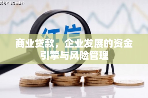 芗城商业贷款，企业发展的资金引擎与风险管理