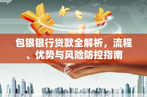 望城包银银行贷款全解析，流程、优势与风险防控指南