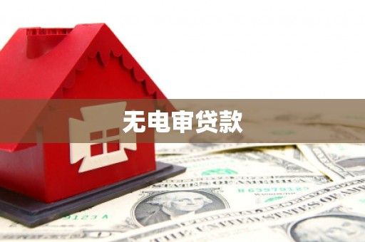 甘井子无电审贷款