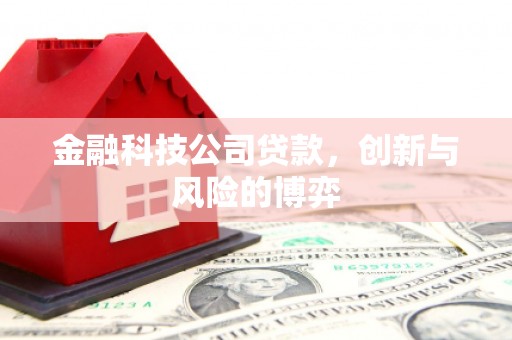 都江堰金融科技公司贷款，创新与风险的博弈