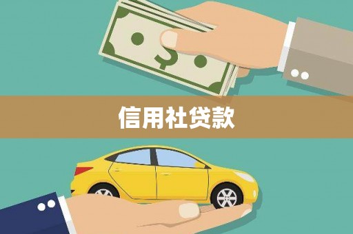 肃南信用社贷款