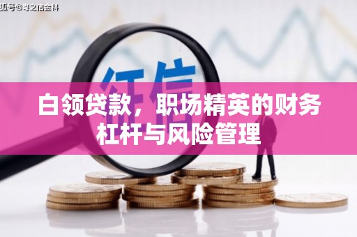 冕宁白领贷款，职场精英的财务杠杆与风险管理