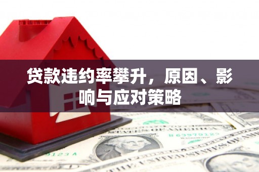 苓雅贷款违约率攀升，原因、影响与应对策略