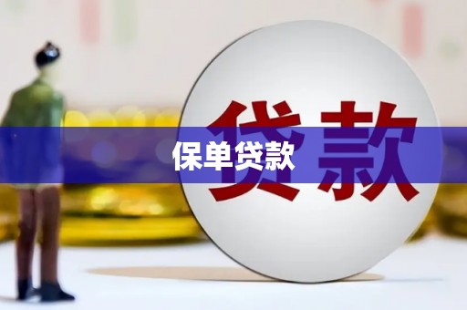 九原保单贷款