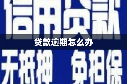 和顺贷款逾期怎么办