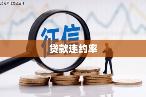 仁寿贷款违约率