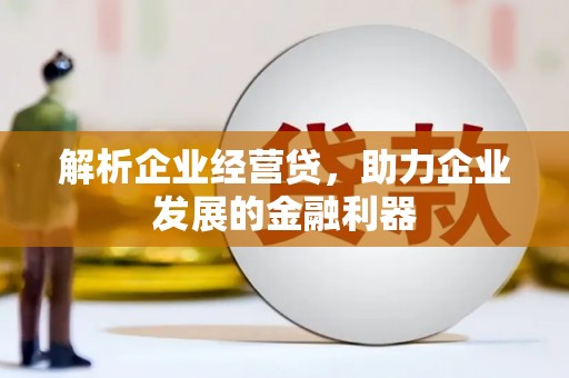 龙游解析企业经营贷，助力企业发展的金融利器