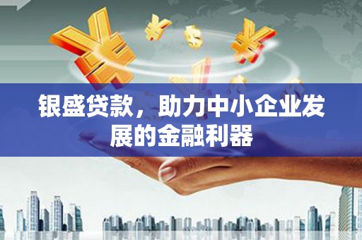 乐昌银盛贷款，助力中小企业发展的金融利器