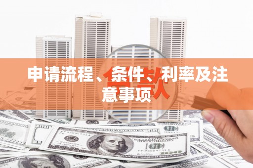 无极申请流程、条件、利率及注意事项