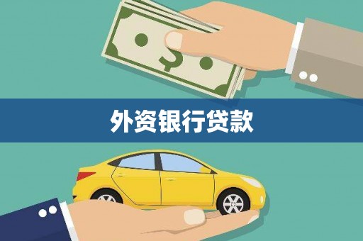 茂林外资银行贷款