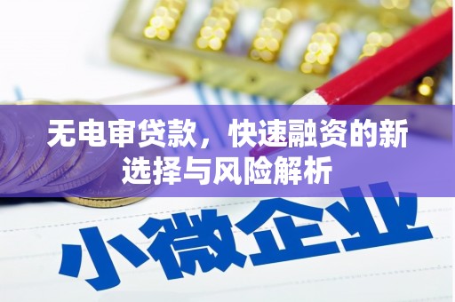 礼县无电审贷款，快速融资的新选择与风险解析