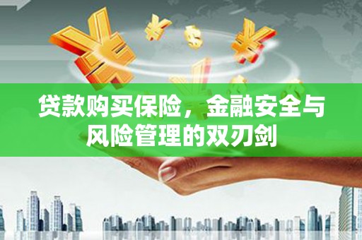 南庄贷款购买保险，金融安全与风险管理的双刃剑