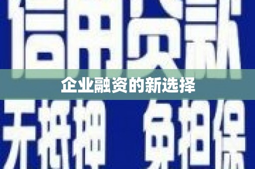芮城企业融资的新选择