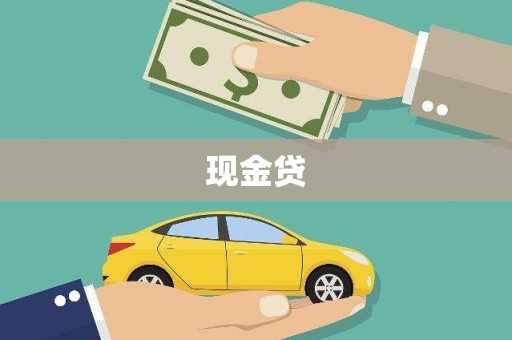 德宏现金贷