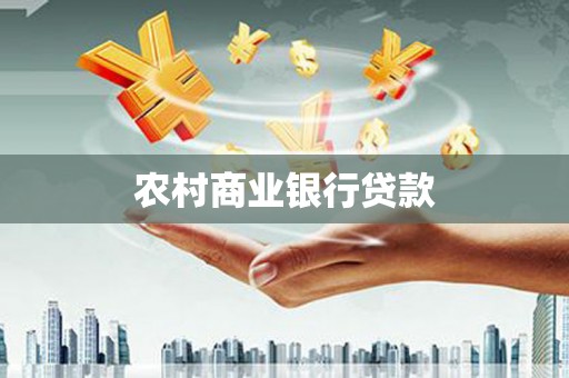 大丰农村商业银行贷款