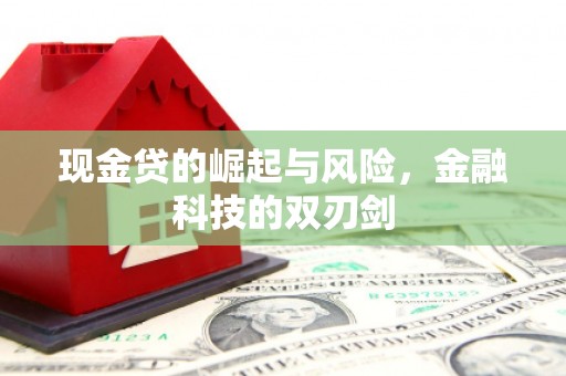 安乡现金贷的崛起与风险，金融科技的双刃剑