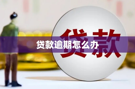 蕉城贷款逾期怎么办
