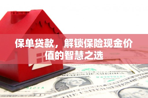 布袋保单贷款，解锁保险现金价值的智慧之选