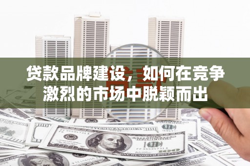崖州贷款品牌建设，如何在竞争激烈的市场中脱颖而出