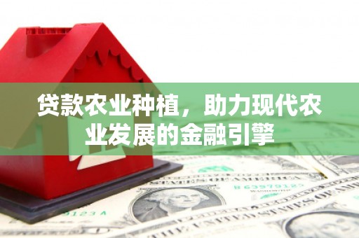 金湖贷款农业种植，助力现代农业发展的金融引擎