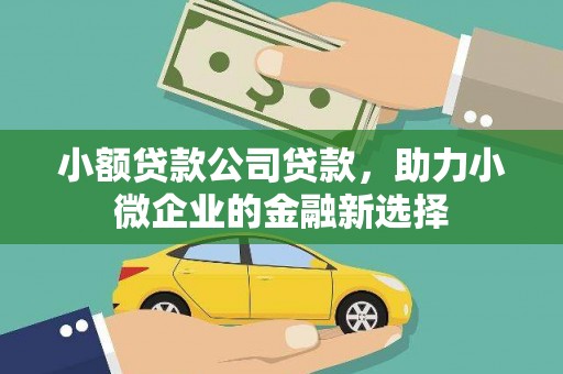 海伦小额贷款公司贷款，助力小微企业的金融新选择