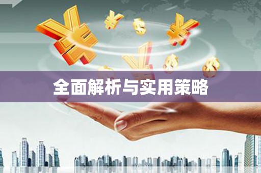 维西全面解析与实用策略