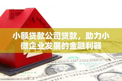 江永小额贷款公司贷款，助力小微企业发展的金融利器