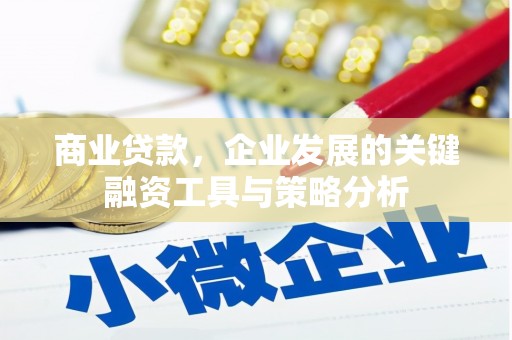 延吉商业贷款，企业发展的关键融资工具与策略分析