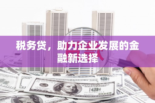 利通税务贷，助力企业发展的金融新选择