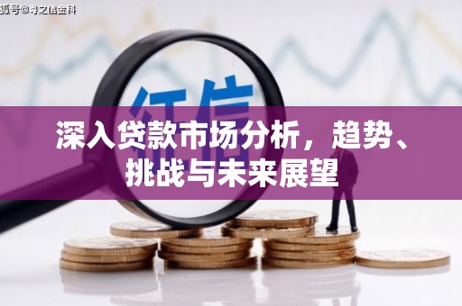 壮围深入贷款市场分析，趋势、挑战与未来展望