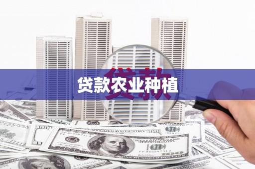 新安贷款农业种植