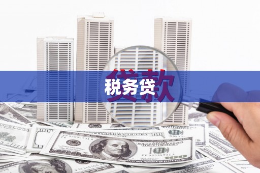 溪口税务贷