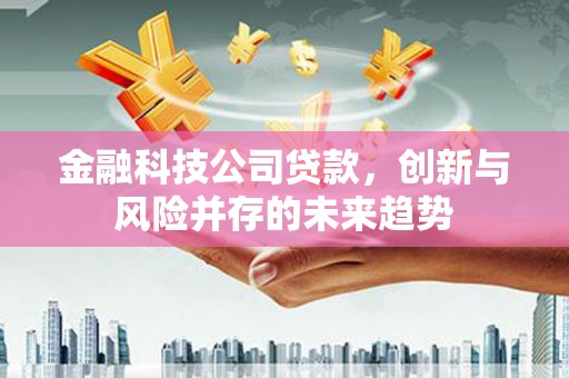 日喀则金融科技公司贷款，创新与风险并存的未来趋势