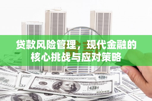 红寺堡贷款风险管理，现代金融的核心挑战与应对策略