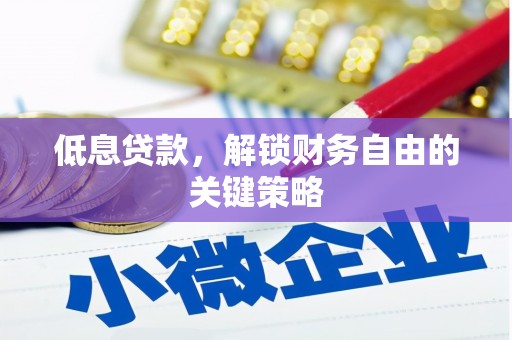 林甸低息贷款，解锁财务自由的关键策略