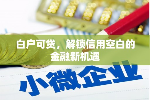 澎湖白户可贷，解锁信用空白的金融新机遇