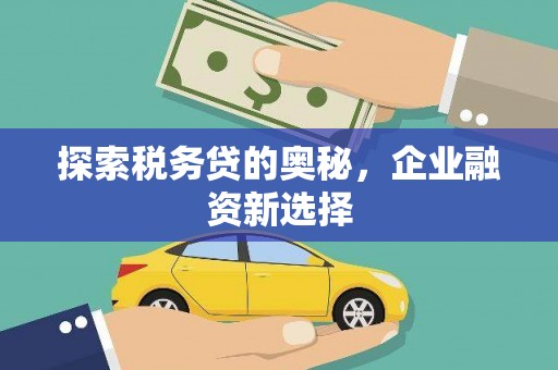 昭苏探索税务贷的奥秘，企业融资新选择