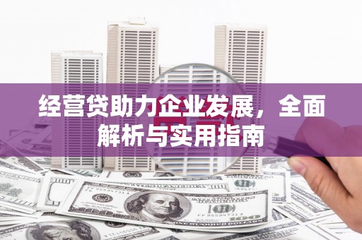 临潼经营贷助力企业发展，全面解析与实用指南