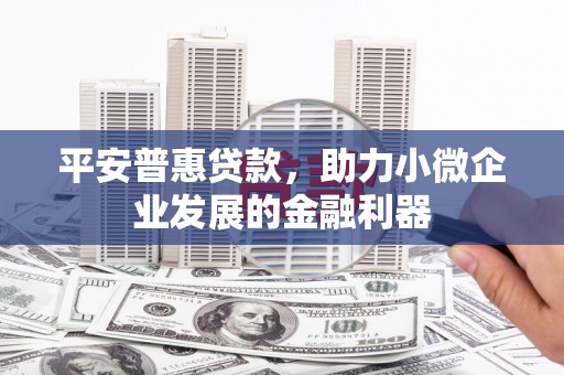 施甸平安普惠贷款，助力小微企业发展的金融利器