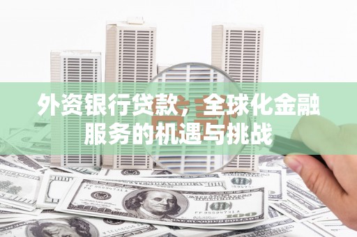 大观外资银行贷款，全球化金融服务的机遇与挑战