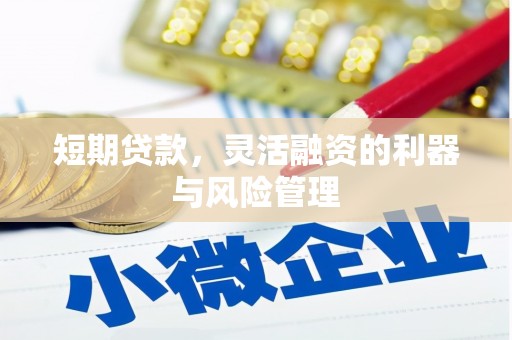 科尔沁左翼后旗短期贷款，灵活融资的利器与风险管理
