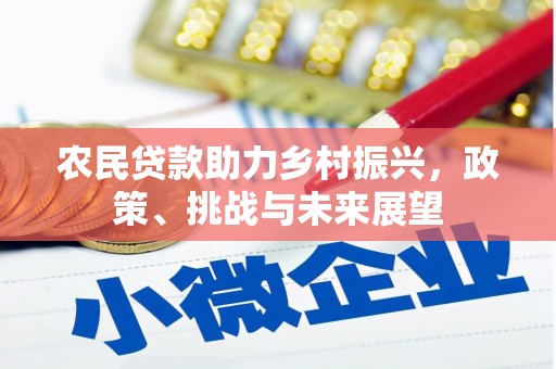 上林农民贷款助力乡村振兴，政策、挑战与未来展望