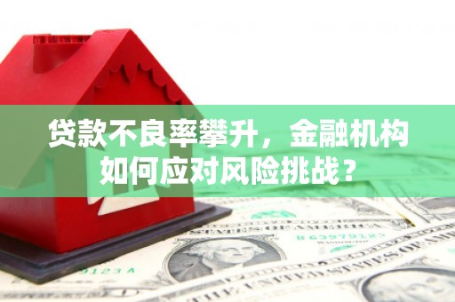呈贡贷款不良率攀升，金融机构如何应对风险挑战？