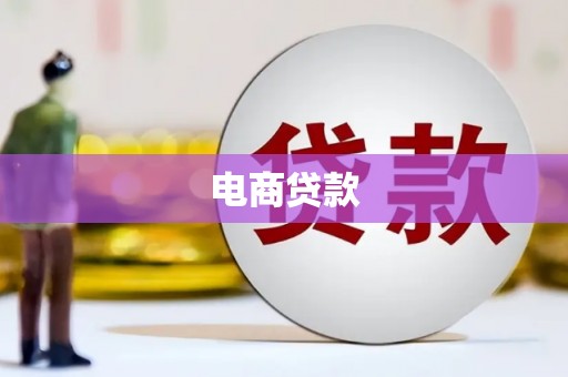 来宾电商贷款